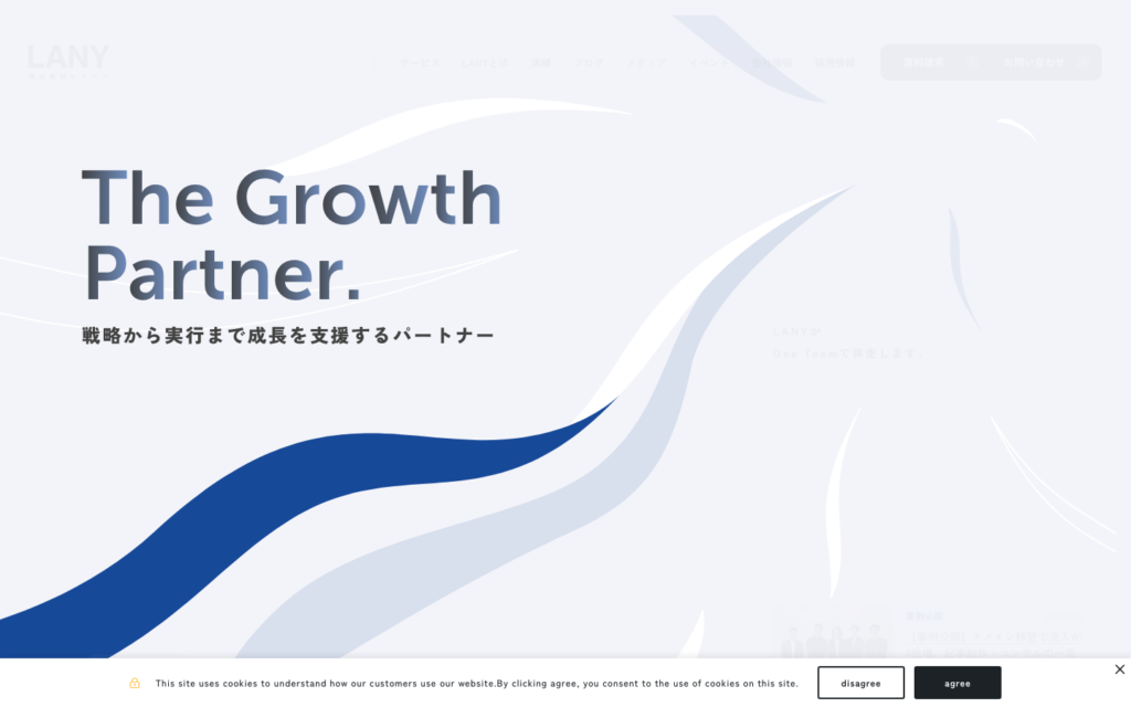 LANY公式サイトイメージ画像